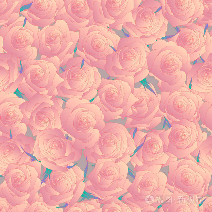 无缝玫瑰花图案。玫瑰的花蕾
