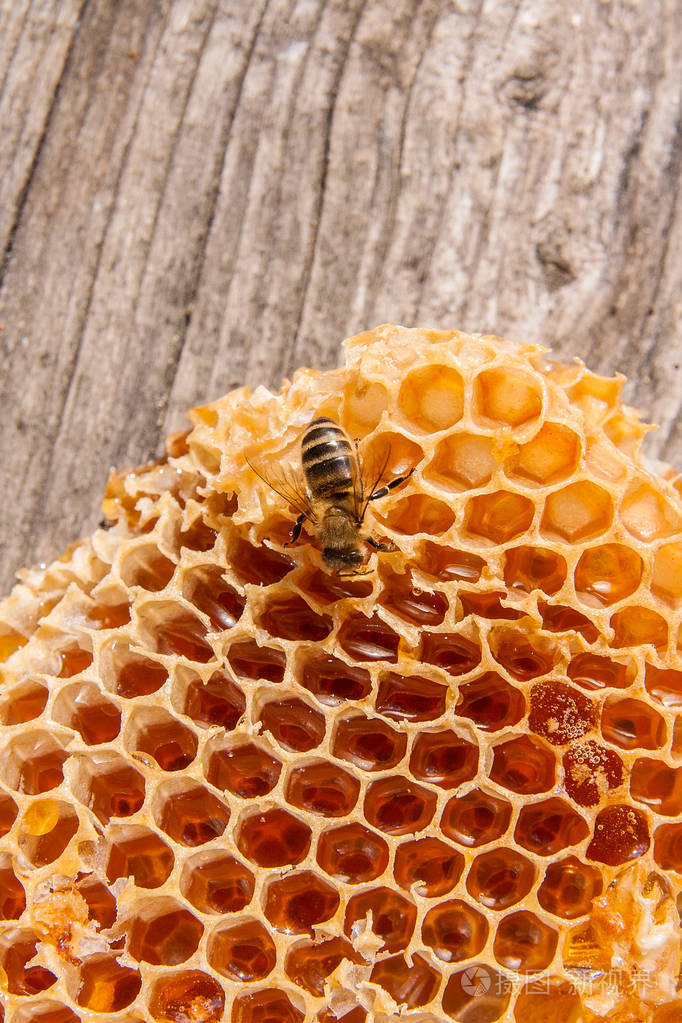 关闭了甜甜的蜂蜜与蜂窝工作蜂观蜡蜂窝从蜂巢老式木制背景上的一节