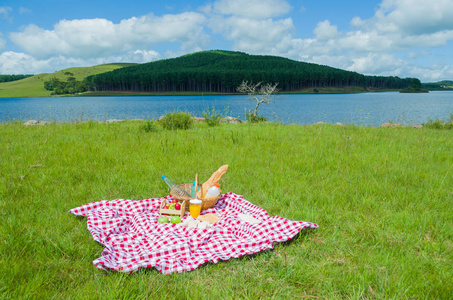 很好的概念, picnic, picnic 与水果和果汁在绿色草坪上, 美丽的景色