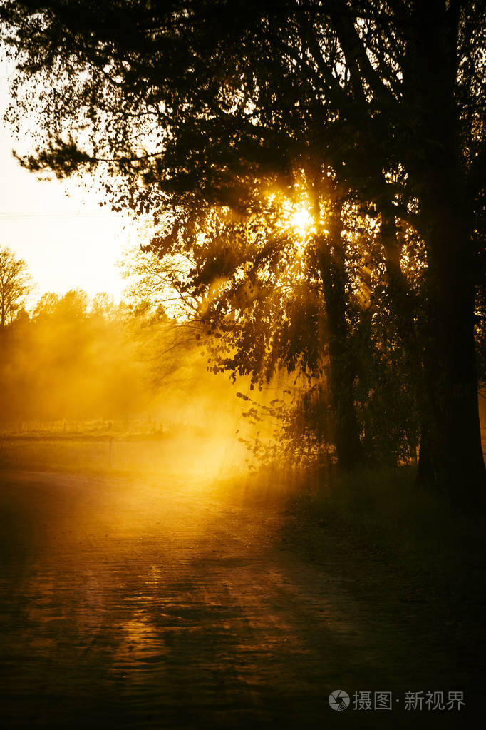 景观的农村现场尘土飞扬的道路