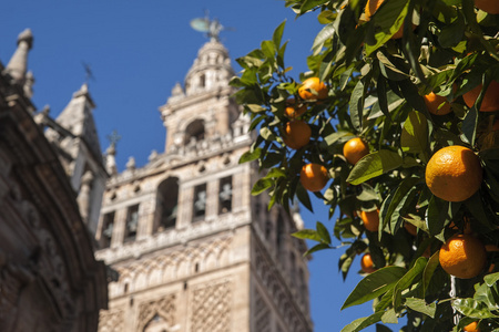 旧的摩尔人城市塞维利亚 Giralda 尖塔