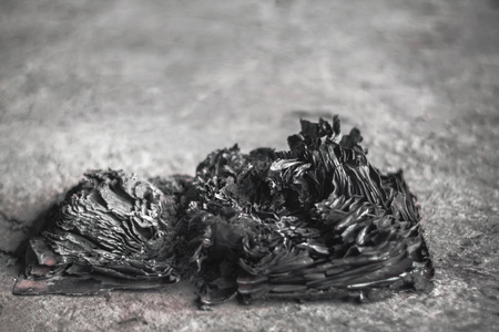 烧成灰烬书照片