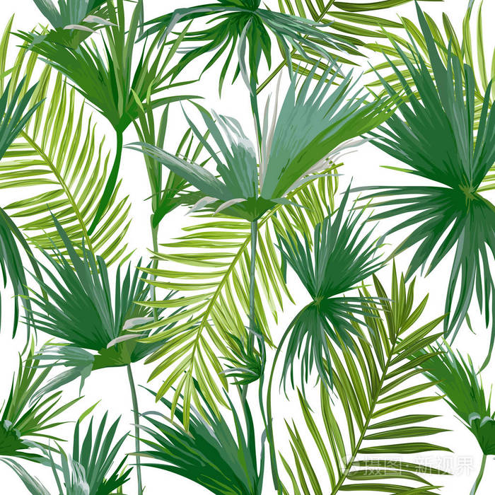热带棕榈叶,丛林叶无缝矢量花纹背景