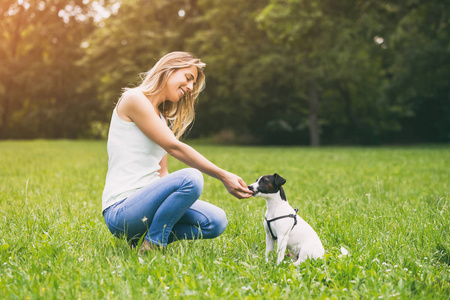 美丽的女人喜欢喂养她可爱的狗杰克罗素梗在自然界。图像是故意色调