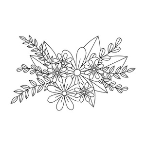 单色轮廓与夏天束鲜花 anf 枝叶照片