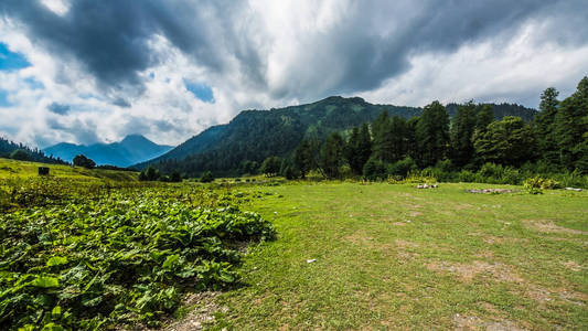 岩石峡谷中的水