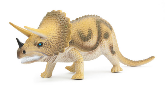 百慕大三角恐怖孤立的三角龙恐龙照片