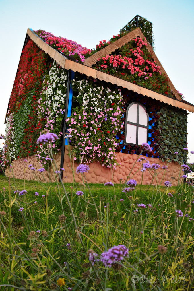 全花在迪拜奇迹花园的房子照片-正版商用图片0oye6z-摄图新视界