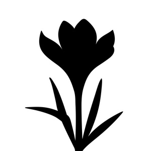 番红花花的黑色剪影.矢量图照片