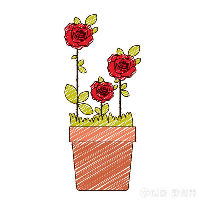 彩色铅笔来画花的红玫瑰种植在花盆里的叶子