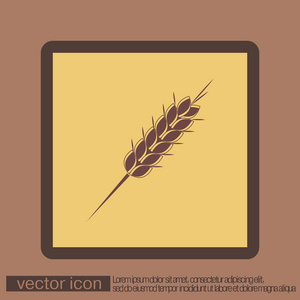 小麦的穗状花序图标
