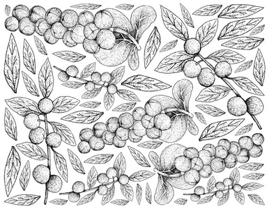 热带水果, 插图壁纸手绘草图的背景新鲜的 Seagrape, Baygrape 或 Coccoloba Uvifera 和金丝雀