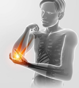 胳膊肘关节图片