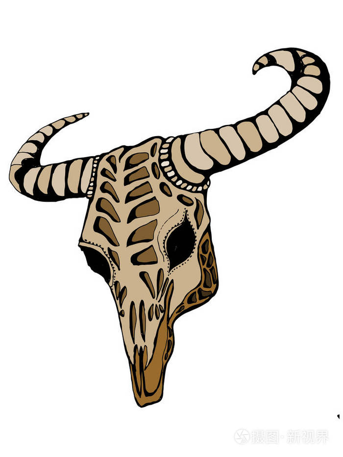水牛头骨手绘矢量图本机的主题