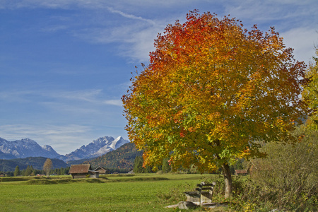 在 Werdenfels 的秋天