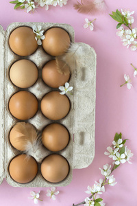 平躺的鸡蛋和开花在浅粉红色柔和的背景, 顶部视图与空间为您的文本