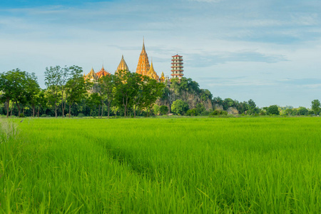 泰国碧府 Tham 日落前稻田风光