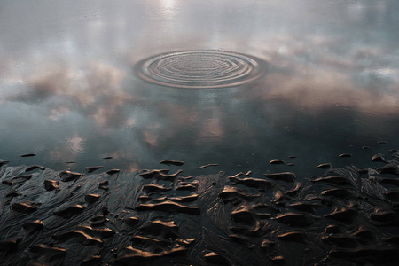 在冰岛 Stokksnes 的一个黑色沙滩旁的水中, 天空的倒影。一块石头掉进水里, 在里面制造了一些圆圈。