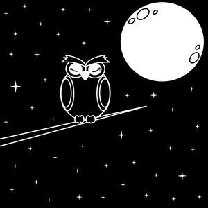 在繁星满天的夜晚黑色和白色的矢量图的分支上的猫头鹰