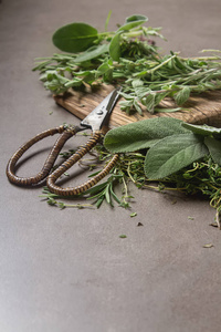 混合的新鲜意大利的草药，从一张旧桌子上的花园。迷迭香