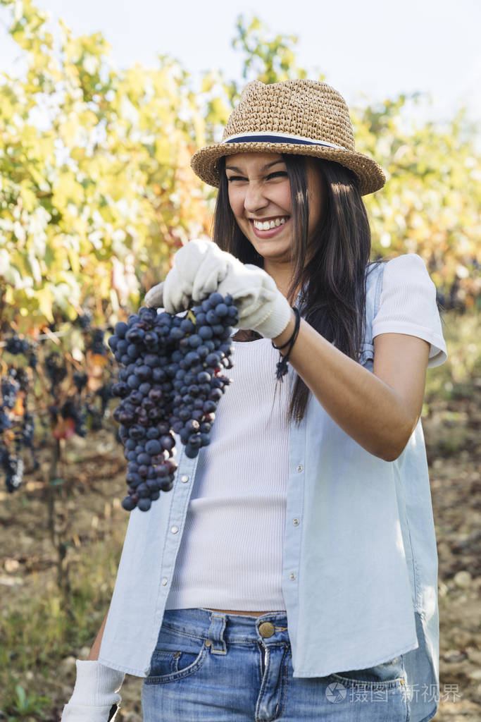 年轻女孩收获葡萄