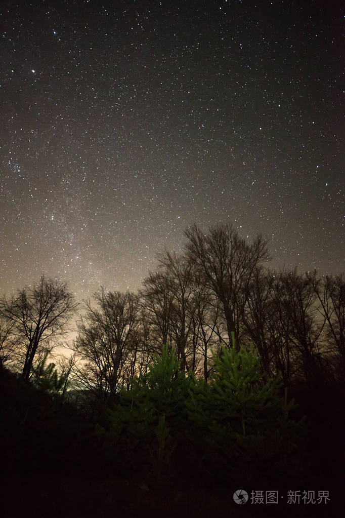 繁星闪烁的夜晚,在森林照片-正版商用图片0oywsc-摄图新视界