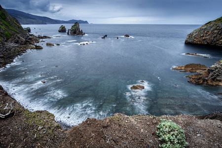 巴斯克岩石海岸全景冷的场面与一些植物在前景和多云天空在背景在西班牙