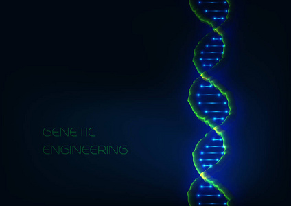 抽象的3d 发光的 Dna 结构螺旋上现代深蓝色背景。医学科研基因工程概念。矢量插图