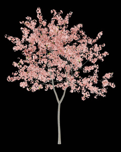 桃树开花图片-桃树开花素材-桃树开花插画-摄图新视界