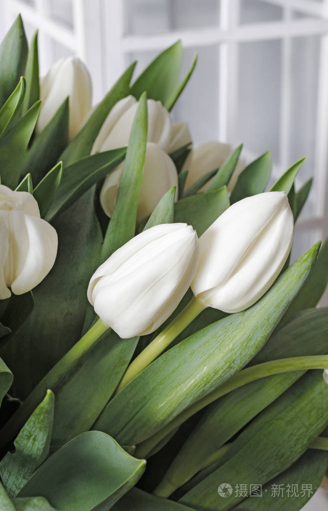 白色郁金香花束春季装饰
