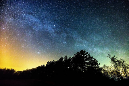 繁星闪烁繁星闪烁的夜晚,在森林照片