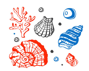 海海洋贝壳手的素描画的矢量图图片