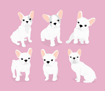 矢量插图集可爱可爱的法国斗牛犬小狗粉红色背景在平面卡通风格