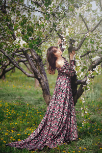美丽的女人，穿着在花园中拥抱树
