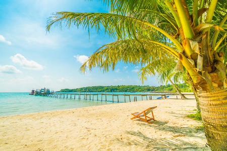 在美丽的热带海滩和海洋与椰子棕榈树在天堂岛的旅行和度假椅