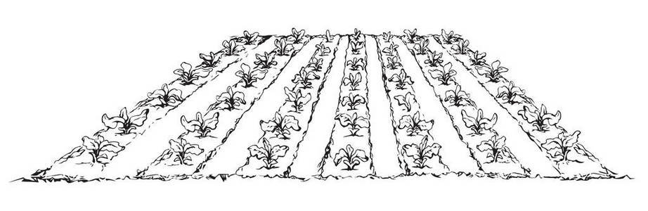 茂盛的桑树图片-茂盛的桑树素材-茂盛的桑树插画-摄图新视界