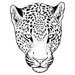 豹脸上刺青，矢量图，打印