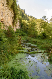 Wutach 峡谷与河流和瀑布漫步在美丽的 blackforest, 德国的景观