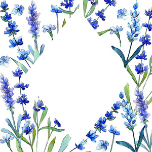 蓝色薰衣草。花卉植物花。水彩风格的野春叶野花框架