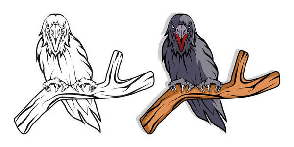 乌鸦头头进化图图片