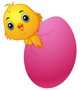 卡通小鸡从蛋孵化图片