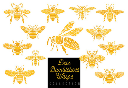 蜜蜂蜂黄蜂集素描风格收藏插入翅膀标志符号