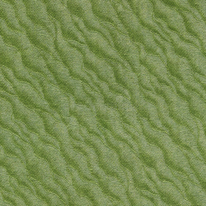 绿纯色墙纸复古墙纸绿鼻涕虫照片