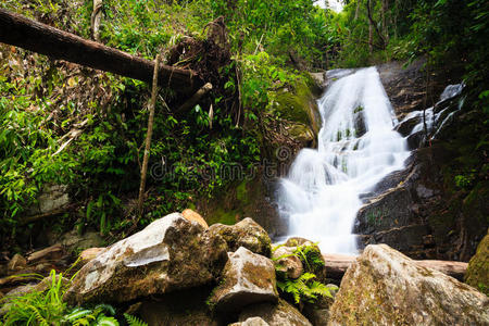 泰国因塔农丛林中美丽的瀑布