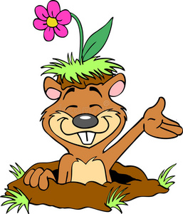 龅牙可爱的花地鼠照片