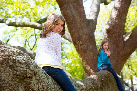 小女孩们在树上玩耍