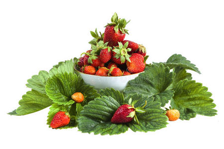 饮食 浆果 维生素 夏天 营养 草莓 自然 甜的 水果 健康