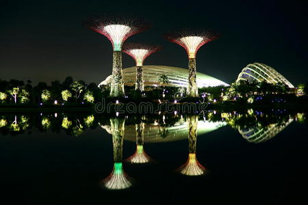 新加坡海湾花园夜景