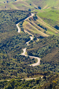 新西兰霍克湾蜿蜒的道路景观图片