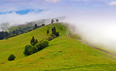 清晨的山景。喀尔巴阡山